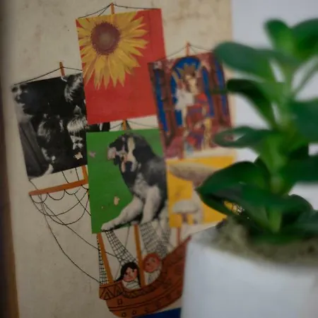 Affittacamere Servus