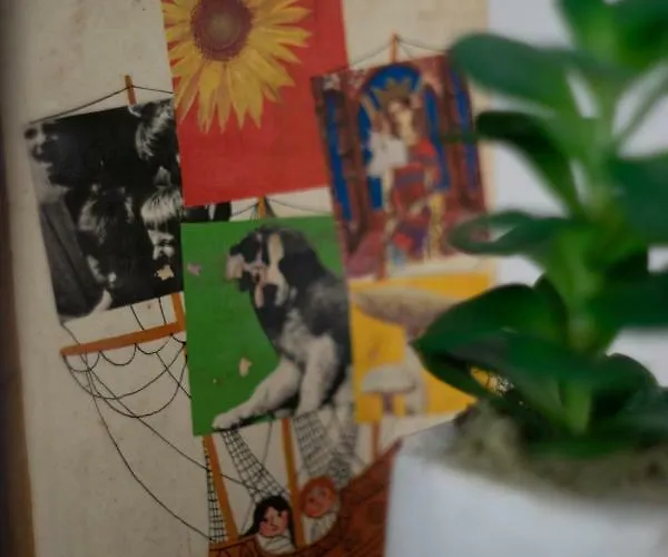 בית הארחה Servus Vendeghaz