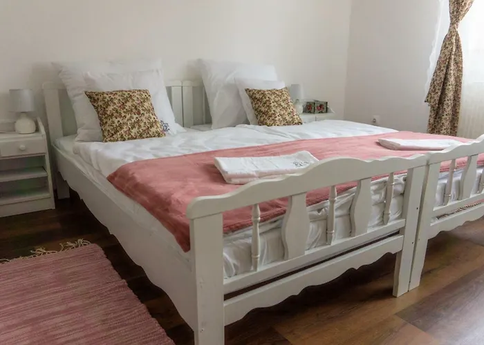 Servus Vendeghaz בית הארחה Lengyeltoti